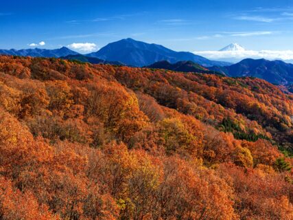【公式限定価格】秋の味覚満載！選べるドリンク特典あり♪実りの季節を満喫する2食付きプラン